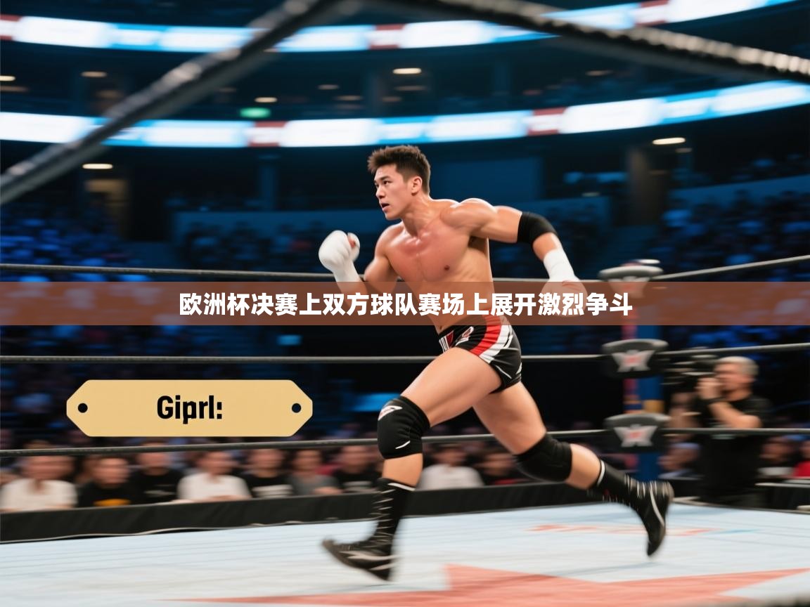 欧洲杯决赛上双方球队赛场上展开激烈争斗  第2张