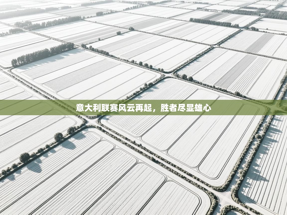 意大利联赛风云再起，胜者尽显雄心  第2张