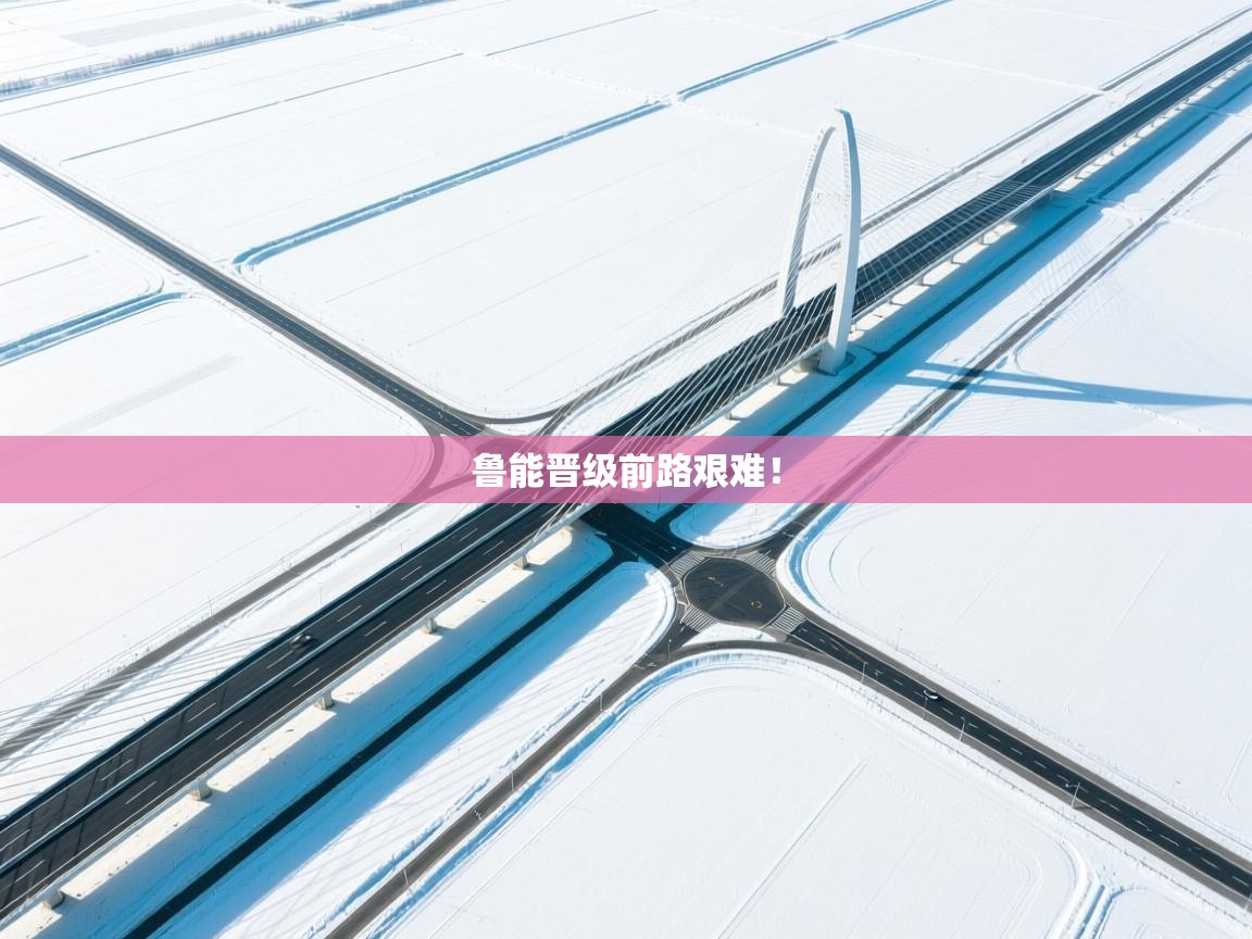 鲁能晋级前路艰难! 第2张